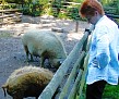 mit Erna im Tierpark Kunsterspring; Foto: privat