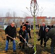 Petra Pau und Gregor Gysi pflanzen Bäume im Mauerpark; Foto: privat