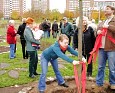 Baum pflanzen im Hochzeitspark; Foto: privat