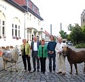 Direktkandidaten für den Deutschen Bundestag im Wahlkreis 86, Berlin, Marzahn-Hellersdorf; Foto: Axel Hildebrandt