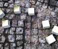 Sieben neue Stolpersteine; Foto: Axel Hildebrandt