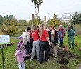 Baum pflanzen zum Welt-Mädchen-Tag; Foto: privat