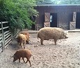 Besuch bei Oskar; Foto: Axel Hildebrandt