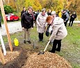 Gedenkbuchen für Buchenwald gepflanzt; Foto: privat