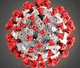 Corona-Virus; Bild: privat
